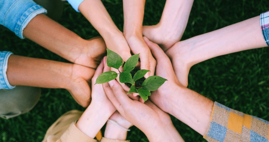 Plant on hands