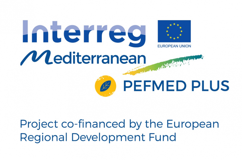 Logo PEFMED PLUS